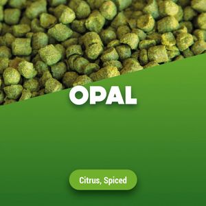 Hopkorrels Opal 2024 5 kg
