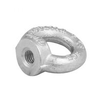 Hoenderdaal Oogmoer Vz Din582 C15E M12 | 25 stuks - 3570.01.01201