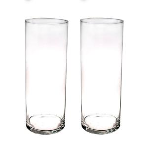 Bellatio flowers & plants Hoge glazen cilinder bloemenvaas - Set van 2x stuks - 40 x 15 cm - Transpa