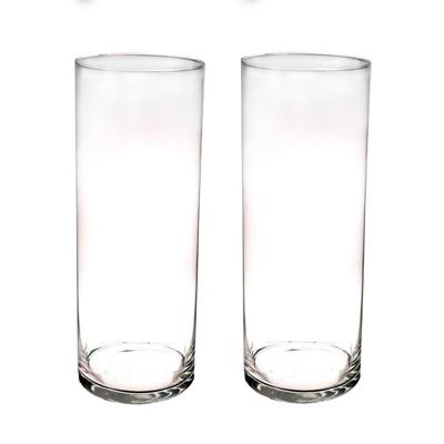 Bellatio flowers & plants Hoge glazen cilinder bloemenvaas - Set van 2x stuks - 40 x 15 cm - Transpa