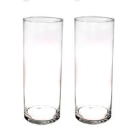 Bellatio flowers & plants Hoge glazen cilinder bloemenvaas - Set van 2x stuks - 40 x 15 cm - Transpa