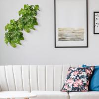 Pilea Peperomioides kunst hangplant Bont 30cm