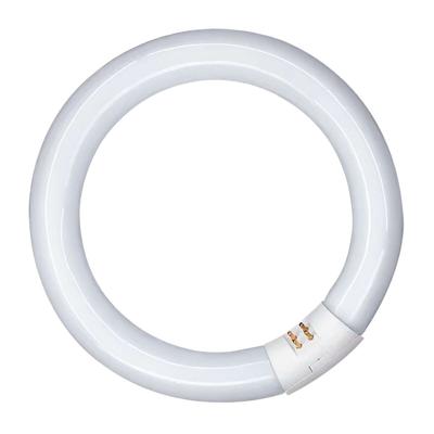 Fluorescerende buis Patron 20 W G10Q (6400 K)