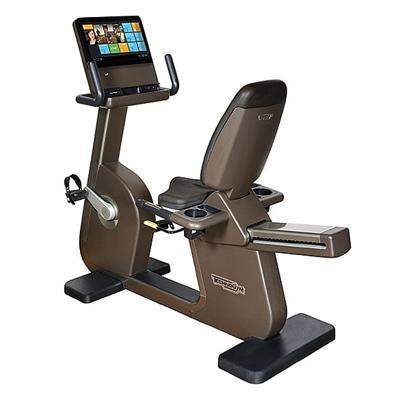 Technogym ligfiets Artis Recline Unity 3.0 bruin gebruikt