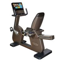 Technogym ligfiets Artis Recline Unity 3.0 bruin gebruikt