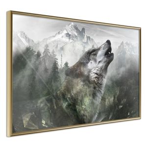 Ingelijste Poster - Huilende Wolf in de bergen,  Goudkleurige lijst, 60x40cm