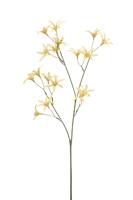 Tweedia spray yellow 69 cm Emerald - Emerald