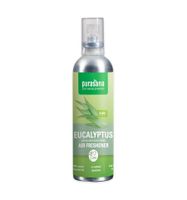 Frishi luchtverfrisser eucalyptus