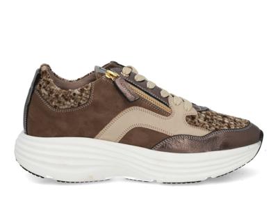 DL Sport 6742 vers 01 bronzo Brons maat 37