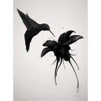 Fotobehang - Hummingbird 192x260cm - Vliesbehang