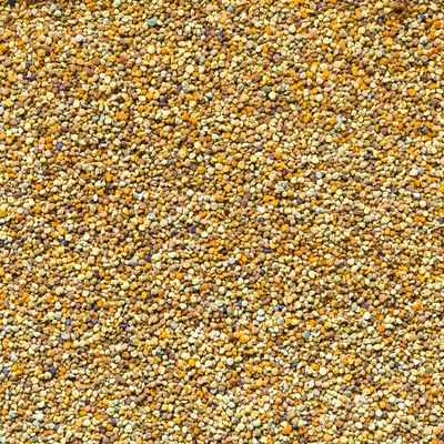 Bijenpollen Raw 1000 gram