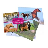 Paarden ansichtkaartboek