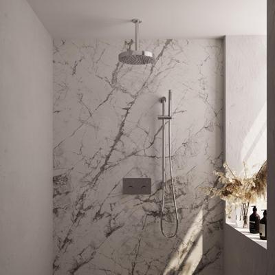 BRAUER Stripe Thermostatische Inbouw Regendouche - drukknoppen - SET 33 - 25cm douchekop - plafondarm - staaf handdouche - doucheslang - geïntegreerde glijstang - chroom 5-CE-429