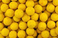 Fish Readymades 5kg Scopex Cream 20 mm Scopex Cream