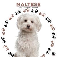 Maltezer Kalender 2026