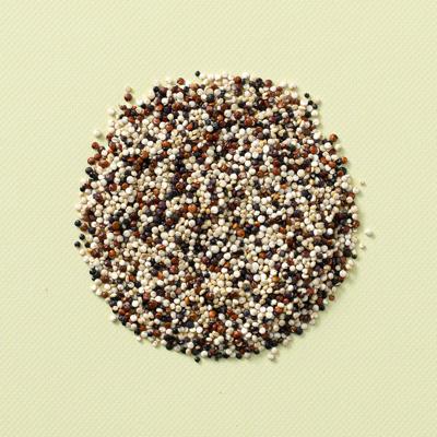 Quinoa tricolor 25 kg baal Quinoa tricolor 25 kg baal