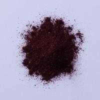 Gevriesdroogd blauwe bessenpoeder 120 gram