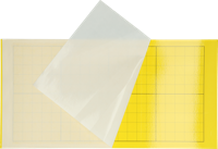 Insectron Lijmplaat 200/300 6 stuks