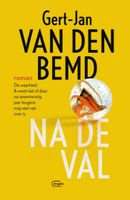 Gert Jan Van den Bemd Na de val - thumbnail