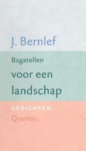 Bagatellen voor een landschap - J. Bernlef - ebook