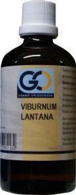 GO Viburnum lantana bio (100 ml)
