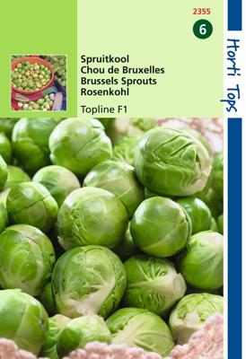 Spruitkool Topline F1 Hybride - Hortitops