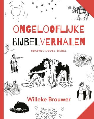Ongelooflijke bijbelverhalen (Hardback)