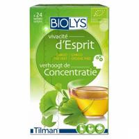 Biolys Ginkgo Groene Thee Sach 24