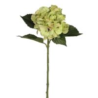 Mica Decorations Kunstbloem - Hortensia tak - groen - 51 cm - losse steel - Kunst zijdebloemen