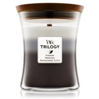 Kamerjas Woodwick 92911E
