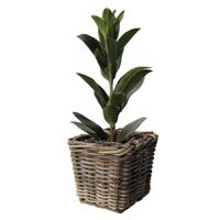Opbergmand - vierkant - rotan - gevlochten riet - L21 x B21 x H28 cm - opbergen