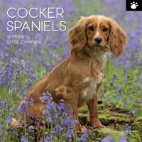 Engelse Cocker Spaniel Kalender 2026