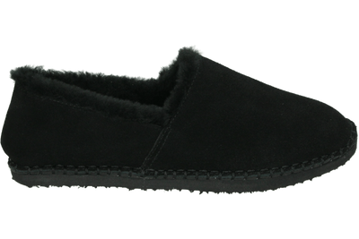 Ara 1529958 - alle