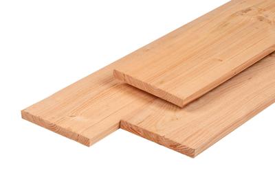 Plank douglas 2,8x24,5x400 cm Tuindeco - Tuindeco