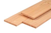 Plank douglas 2,8x24,5x400 cm Tuindeco - Tuindeco