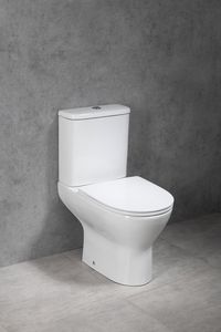 Bruckner Dario randloos staand toilet 38.5x63x80cm wit