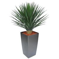 Yucca Rostrata kunstplant 80cm - thumbnail