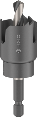 Bosch Accessoires Gatzaagset met as voor hout en gipsplaat | 25 x 27 mm - 2608594490