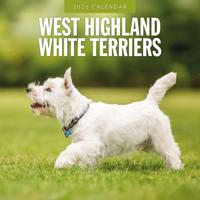 West Highland White Terrier Kalender 2026