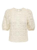 Only Onlbenia S/s O-neck Lace Top Jrs 15372720 T-shirt Korte Mouw 5033279 Birch