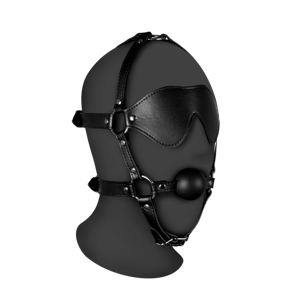 Ouch! by Shots Blindfolded Head Harness with Solid Ball Gag - Black