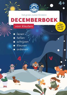 Het Grote Junior Einstein Decemberboek (Paperback)