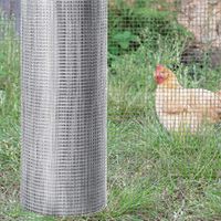 7 mm Rol Aluminium Horgaas 23 Gauge Vierkant Gegalvaniseerd Kippengaas Gelast Hek Gegalvaniseerd Aluminium Horgaas voor Tuin