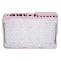 amaran Ace 25x Pink amaran Ace 25x Pink