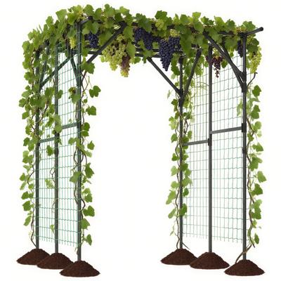 Rankhek voor Klimplanten Steun voor klimplanten Boogpoort Tuinboog 200 x 150 x 197 cm