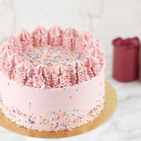 Pink Sprinkle Birthday Cake