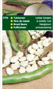 Tuinbonen Leidse Hangers 250 gram - Tuinplus