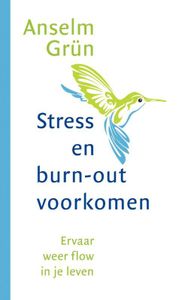 Stress en burnout voorkomen - Anselm Grun - ebook