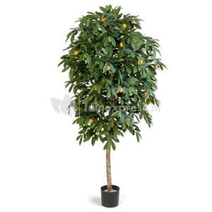 Kunstplant Citrus mandarine L