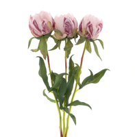 Paeony Marlie bundle a 3 pcs pink 48 cm kunstbloem Erutan Avon - Erutan avon